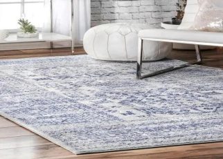 Why Are Area Rugs Essential for Your Home Decor